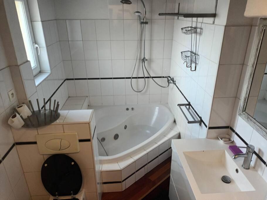 Le Schauenberg Apartment Colmar Bagian luar foto