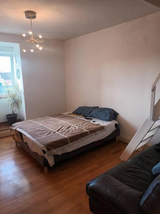 Le Schauenberg Apartment Colmar Bagian luar foto